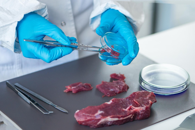 Preservante natural – Extensor de vida en carnes
